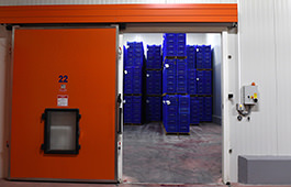 Makedonia Cold Storage S.A. - facilities