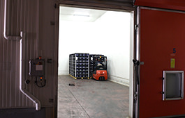 Makedonia Cold Storage S.A. - facilities